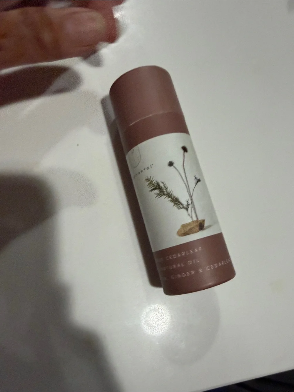 Element Dusty Rose Botanical Face Oil Stick